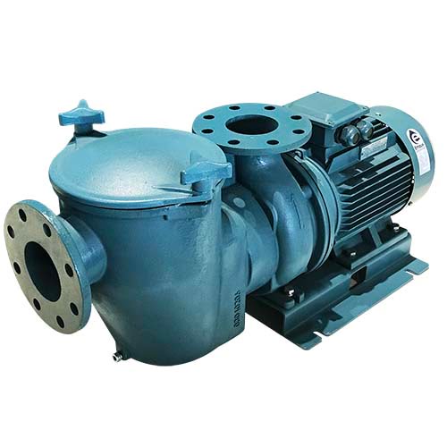 SE Series Pool Pump